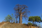 08 - Kruger NP (74)